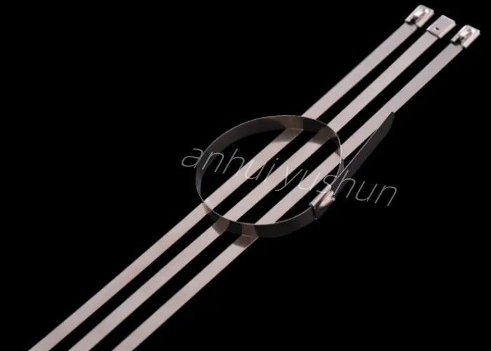 150mm Schnallen-Art rostfreier Stahlkabelbinder für Draht-Anordnung