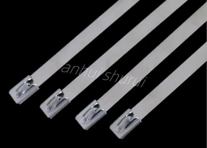150mm Schnallen-Art rostfreier Stahlkabelbinder für Draht-Anordnung